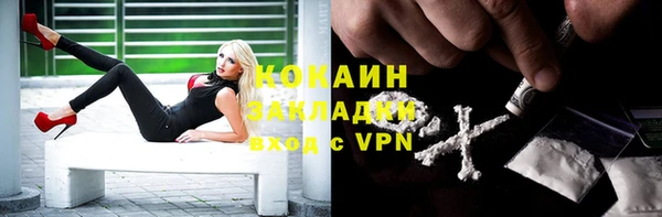 тгк Алексин