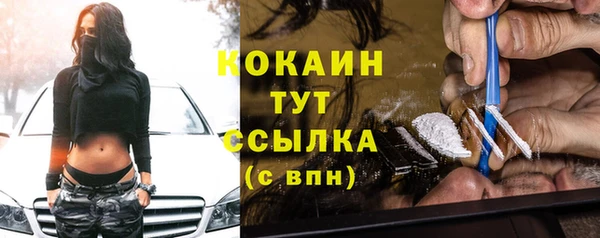 тгк Алексин